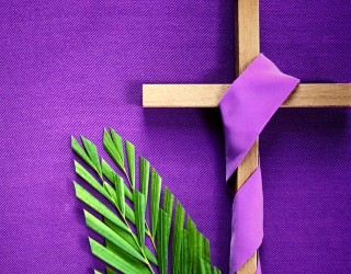 Image of