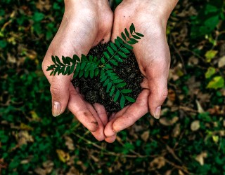 Photo by Noah Buscher on Unsplash Image of Photo by Noah Buscher on Unsplash