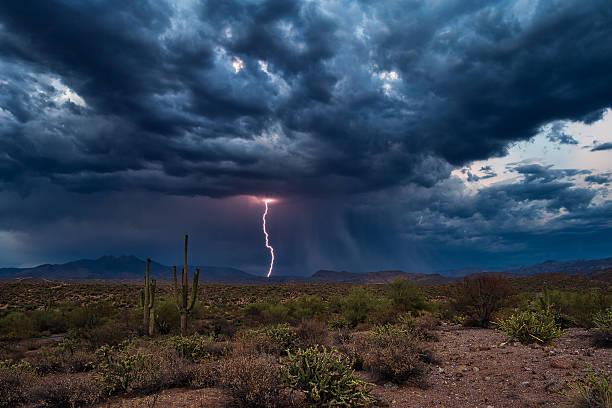 The truth is like rain in the desert. It is simple, pure, and it brings life. This is how we must be. Image of The truth is like rain in the desert. It is simple, pure, and it brings life. This is how we must be.