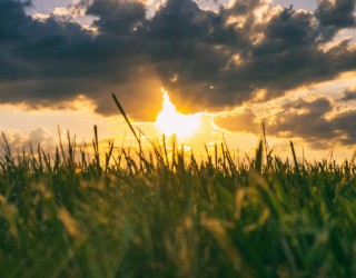 Photo by Aaron Burden on Unsplash Image of Photo by Aaron Burden on Unsplash