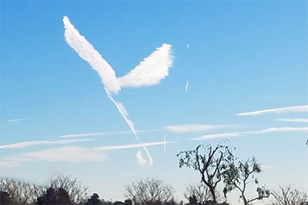 Do you see an angel? We do!
Photo Credit: Benita Montano Image of Do you see an angel? We do!
Photo Credit: Benita Montano