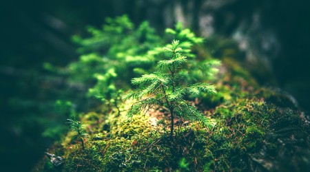 Photo by Matthew Smith on Unsplash Image of Photo by Matthew Smith on Unsplash