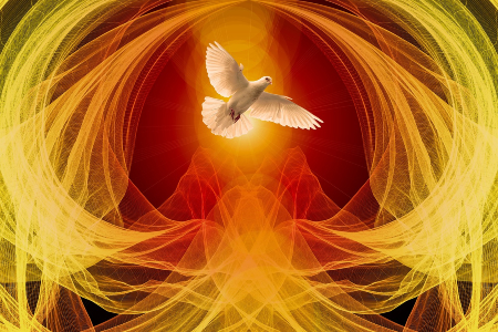 Image of