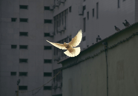 Photo credit: Sunguk Kim Photo credit: Sunguk Kim