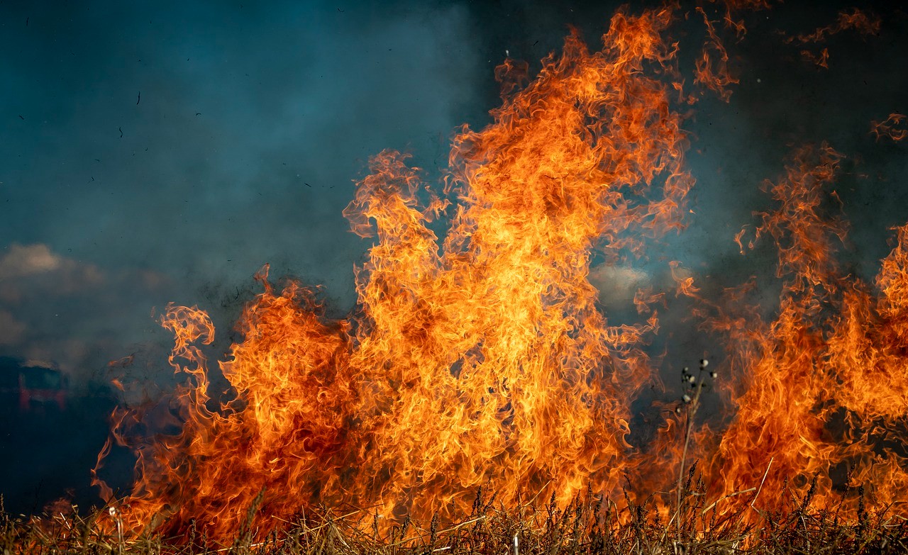 Massive wildfires devastated the Los Angeles area, destroying homes, claiming lives, and forcing thousands to flee in the face of relentless flames and fierce winds. Massive wildfires devastated the Los Angeles area, destroying homes, claiming lives, and forcing thousands to flee in the face of relentless flames and fierce winds.