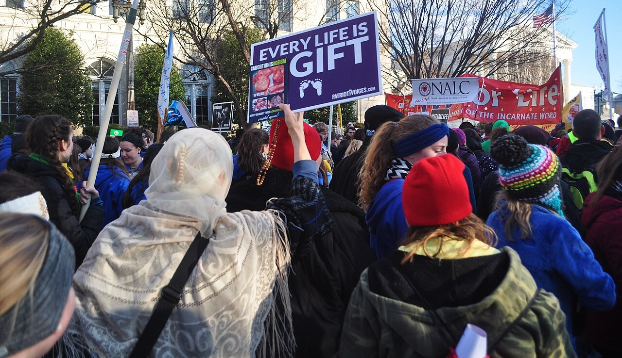 2015 March for Life in Washington D.C. (Wikimedia Commons) 2015 March for Life in Washington D.C. (Wikimedia Commons)