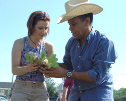 WOMAN HELPS REFUGEE PLANT LETTUCE – Laurie Soileau of Catholic Charities Refugee and Immigration Services, helps Edigno Moreno of Cuba as he prepares to plant lettuce in the new refugee community garden at Holy Name Church in Nashville, Tenn., in late April. (CNS/Tennessee Register)
Image of WOMAN HELPS REFUGEE PLANT LETTUCE – Laurie Soileau of Catholic Charities Refugee and Immigration Services, helps Edigno Moreno of Cuba as he prepares to plant lettuce in the new refugee community garden at Holy Name Church in Nashville, Tenn., in late April. (CNS/Tennessee Register)