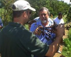 APPLE GROWERS SHARE INFORMATION – Ralph Broetje (center), founder of Broetje First Fruits of Washington, discusses growing techniques with Juan Gonzalez, Frente Democratico Campesino apple grower, on an orchard in Chihuahua, Mexico. A Catholic Relief Services program links Mexican and U.S. apple farmers and the advanced technology used to harvest them. The program has already improved the quality of life for dozens of Mexican farming families, decreasing their need to migrate to the United States. (CRS)
Image of APPLE GROWERS SHARE INFORMATION – Ralph Broetje (center), founder of Broetje First Fruits of Washington, discusses growing techniques with Juan Gonzalez, Frente Democratico Campesino apple grower, on an orchard in Chihuahua, Mexico. A Catholic Relief Services program links Mexican and U.S. apple farmers and the advanced technology used to harvest them. The program has already improved the quality of life for dozens of Mexican farming families, decreasing their need to migrate to the United States. (CRS)