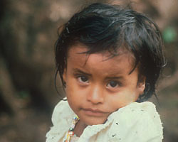 CHILD OF WAR - A refugee from the war in El Salvador looks into the camera lens of Mary Carty, who visited refugee camps in El Salvador and Honduras in 1986. (Mary Carty) Image of CHILD OF WAR - A refugee from the war in El Salvador looks into the camera lens of Mary Carty, who visited refugee camps in El Salvador and Honduras in 1986. (Mary Carty)