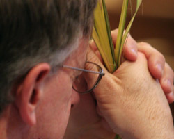 MAN IN PRAYER CLUTCHES PALM – A man clutches palm fronds as he prays during a Palm Sunday Mass at St. Agnes Cathedral in Rockville Centre, N.Y., in 2006. Palm Sunday, also known as Passion Sunday, commemorates Christ's jubilant entry into Jerusalem and marks the beginning of Holy Week. Palm Sunday is celebrated April 1 this year. (CNS/Long Island Catholic) Image of MAN IN PRAYER CLUTCHES PALM – A man clutches palm fronds as he prays during a Palm Sunday Mass at St. Agnes Cathedral in Rockville Centre, N.Y., in 2006. Palm Sunday, also known as Passion Sunday, commemorates Christ's jubilant entry into Jerusalem and marks the beginning of Holy Week. Palm Sunday is celebrated April 1 this year. (CNS/Long Island Catholic)