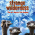 Strange Wilderness (Paramount) Image of Strange Wilderness (Paramount)