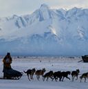 WHITE AS SNOW - A musher runs her team toward the Knik Lake checkpoint during the 2002 Jr. Iditarod in Alaska. (Anchorage Daily News/Stephen Nowers) Image of WHITE AS SNOW - A musher runs her team toward the Knik Lake checkpoint during the 2002 Jr. Iditarod in Alaska. (Anchorage Daily News/Stephen Nowers)