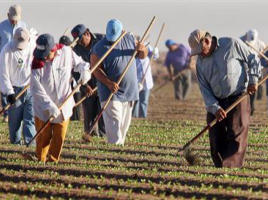 Though we rarely picture the kind of long lines of factory workers as the norm of human work in our technological age, the fact is that this is the experience of many workers. The Image of Though we rarely picture the kind of long lines of factory workers as the norm of human work in our technological age, the fact is that this is the experience of many workers. The