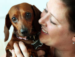 Holly Tweed holds Sophia, a seven-year-old dachshund, who fell into a 13-foot deep gopher tortoise hole in the backyard of their Clermont, Florida home, June 17, 2008. (Hilda M. Perez/Orlando Sentinel/MCT) Image of Holly Tweed holds Sophia, a seven-year-old dachshund, who fell into a 13-foot deep gopher tortoise hole in the backyard of their Clermont, Florida home, June 17, 2008. (Hilda M. Perez/Orlando Sentinel/MCT)