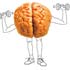 Studies show that exercise postively affects the hippcampus, the part of the brain vital to memory and learning. Image of Studies show that exercise postively affects the hippcampus, the part of the brain vital to memory and learning.