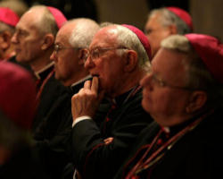 Primarily driven by statements both made on 'Meet the Press,' the bishops have concluded that enough is enough. Once content to simply legislate, the pro-choice democrats have recently decided to theologize in a public forum. This has ultimately called the question.
Image of Primarily driven by statements both made on 'Meet the Press,' the bishops have concluded that enough is enough. Once content to simply legislate, the pro-choice democrats have recently decided to theologize in a public forum. This has ultimately called the question.