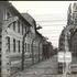 Image of