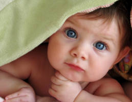 The media routinely reports on the so called “abortion rights” movement. There is no such right. How can any truly civilized society allow one group of human persons to kill another group of human persons at will, in the name of choice, and then give such an evil act the status of a legal “right”? Some choices are always wrong and we all know it. Image of The media routinely reports on the so called “abortion rights” movement. There is no such right. How can any truly civilized society allow one group of human persons to kill another group of human persons at will, in the name of choice, and then give such an evil act the status of a legal “right”? Some choices are always wrong and we all know it.