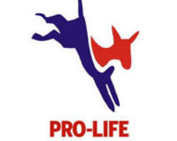 'Nineteen Democrats breaking the fold is a sign that not everybody within the Democratic Party is completely sold out to the abortion lobby' Shaun Kenney, executive director of the American Life League, the largest grassroots Catholic pro-life education organization in the United States.
Image of 'Nineteen Democrats breaking the fold is a sign that not everybody within the Democratic Party is completely sold out to the abortion lobby' Shaun Kenney, executive director of the American Life League, the largest grassroots Catholic pro-life education organization in the United States.