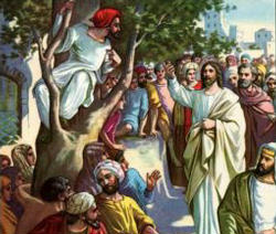The Sycamore tree created a clear line of vision for Zacheus. It helped him to rise above the crowd and see the Lord clearly. It placed him in the right position for the invitation that would follow. Jesus told him to come down for he was coming to his house! Imagine the thrill. For us, the Sycamore tree is a symbol of that place in our own lives which enables us to have a clear vision of Jesus. Image of The Sycamore tree created a clear line of vision for Zacheus. It helped him to rise above the crowd and see the Lord clearly. It placed him in the right position for the invitation that would follow. Jesus told him to come down for he was coming to his house! Imagine the thrill. For us, the Sycamore tree is a symbol of that place in our own lives which enables us to have a clear vision of Jesus.