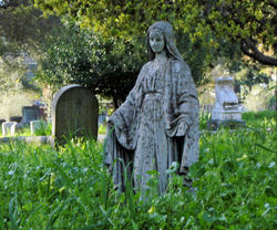 The Feast of All saints is our family Feast day when we honor all those who have died, marked with the sign of faith, and gone on before us to be with the Lord. They now beckon all of us into the fullness of the communion of love. Image of The Feast of All saints is our family Feast day when we honor all those who have died, marked with the sign of faith, and gone on before us to be with the Lord. They now beckon all of us into the fullness of the communion of love.