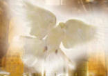 The Holy Spirit Image of The Holy Spirit