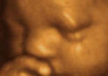 The Oklahoma Legislature, the latest venue in the continuing struggle to protect human life. Image of The Oklahoma Legislature, the latest venue in the continuing struggle to protect human life.