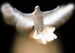 The Day of Pentecost. Image of The Day of Pentecost.