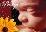 Image of