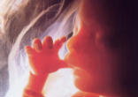 Every child in the womb is fully human from the moment of conception. Image of Every child in the womb is fully human from the moment of conception.