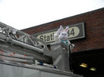 The Easter Bunny begins her journey!
Image of The Easter Bunny begins her journey!