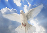 Life in the Spirit constitutes the fullness of human life; it is a life filled with light and love, tenderness and compassion as we share in God's own divine nature. Through the love of the indwelling Spirit, who resides in his faithful as in a temple, the soul is infused with an enduring, real and knowable peace. It is a peace that heals, elevates and perfects our ability to live our human life in all its fullness. Image of Life in the Spirit constitutes the fullness of human life; it is a life filled with light and love, tenderness and compassion as we share in God's own divine nature. Through the love of the indwelling Spirit, who resides in his faithful as in a temple, the soul is infused with an enduring, real and knowable peace. It is a peace that heals, elevates and perfects our ability to live our human life in all its fullness.