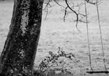 While nearly everyone notices an emptiness in life, what we do with it makes all the difference. Image of While nearly everyone notices an emptiness in life, what we do with it makes all the difference.