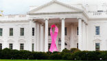Obama adorned the White House with a pink ribbon last October. Absent were green and periwinkle ribbons. Image of Obama adorned the White House with a pink ribbon last October. Absent were green and periwinkle ribbons.