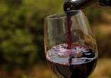 When we consider the Jewish Passover Feast and its fulfillment in the events of the Holiest of Weeks we just celebrated as Christians, the real beauty of wine is revealed. Christ our Passover has been sacrificed and our Blessing cup is a communion in His Blood. Image of When we consider the Jewish Passover Feast and its fulfillment in the events of the Holiest of Weeks we just celebrated as Christians, the real beauty of wine is revealed. Christ our Passover has been sacrificed and our Blessing cup is a communion in His Blood.