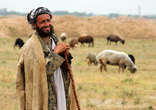 Shepherd and his Sheep Image of Shepherd and his Sheep