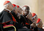 Thus far only two dozen cardinals are using Twitter, with more should to come! Image of Thus far only two dozen cardinals are using Twitter, with more should to come!