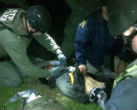 Dzhokhar following his capture. Image of Dzhokhar following his capture.