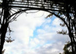 Image of
