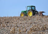 Farmers are concerned about the development of herbicide resistant weeds in the wake of the Monsanto GM seed escape. Image of Farmers are concerned about the development of herbicide resistant weeds in the wake of the Monsanto GM seed escape.