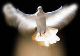 The Holy Spirit Image of The Holy Spirit