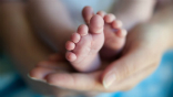 Firefighters expected to rescue a cat, but saw feet and realized they were saving a baby from a terrible murder. Image of Firefighters expected to rescue a cat, but saw feet and realized they were saving a baby from a terrible murder.