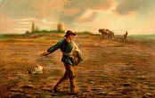 The sower went out to sow Image of The sower went out to sow