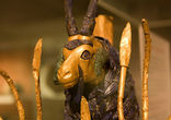 Ram Caught in a Thicket Image of Ram Caught in a Thicket