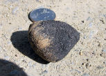 A fragment of the Sutter's Mill meteorite. Image of A fragment of the Sutter's Mill meteorite.