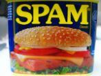Spam is one thing both terrorists and the NSA probably hate as much as you do. Image of Spam is one thing both terrorists and the NSA probably hate as much as you do.