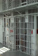 Where criminals belong, not hiding behind Obama's coat. Image of Where criminals belong, not hiding behind Obama's coat.
