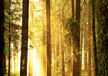 Beautiful mornings are inspirational. Image of Beautiful mornings are inspirational.