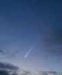 Comet ISON imaged in the predawn sky. Image of Comet ISON imaged in the predawn sky.