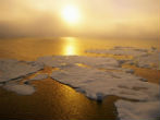 The loss of sea ice was cited as an immediate threat, but how does that threaten humanity? Image of The loss of sea ice was cited as an immediate threat, but how does that threaten humanity?